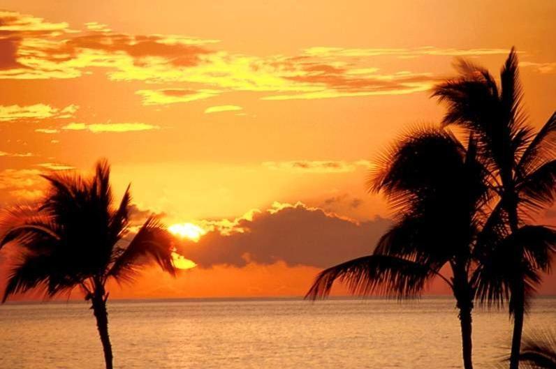 Ap Cote Com Vista Para Mar E Bicicletas Maceió Buitenkant foto